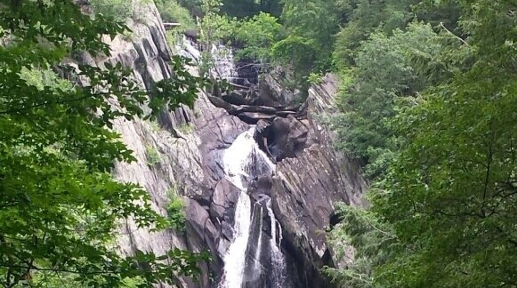 High Falls in July.