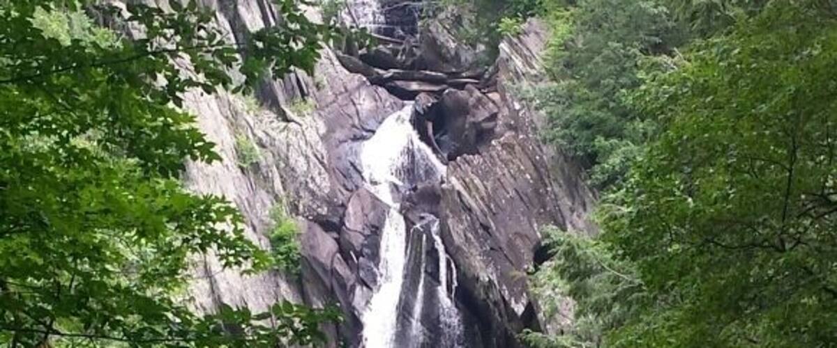 A multi-tiered waterfall surrounded by dense forest.
