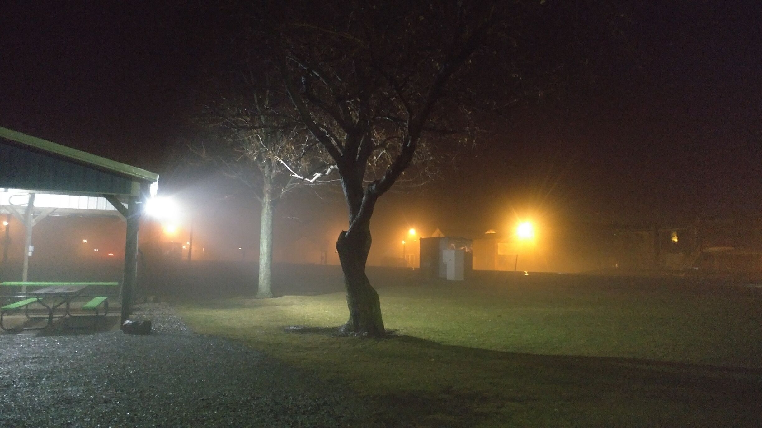 A foggy night scene with a park bench, a tree, and a building with lights.
