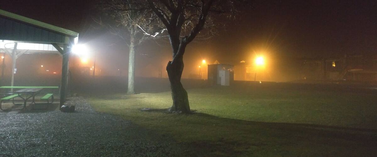 A foggy night scene with a park bench, a tree, and a building with lights.