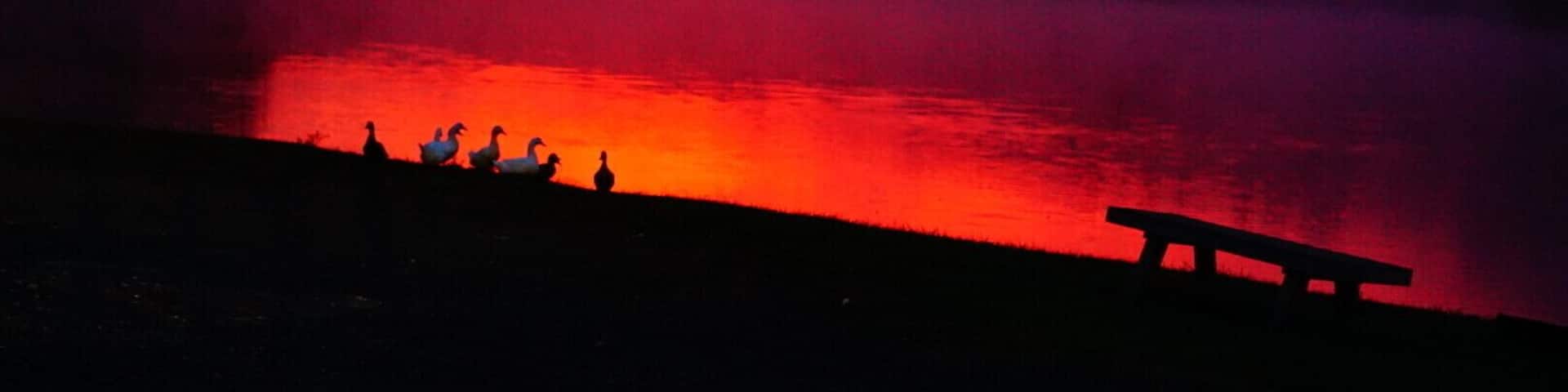 Beautiful sunrises and sunsets