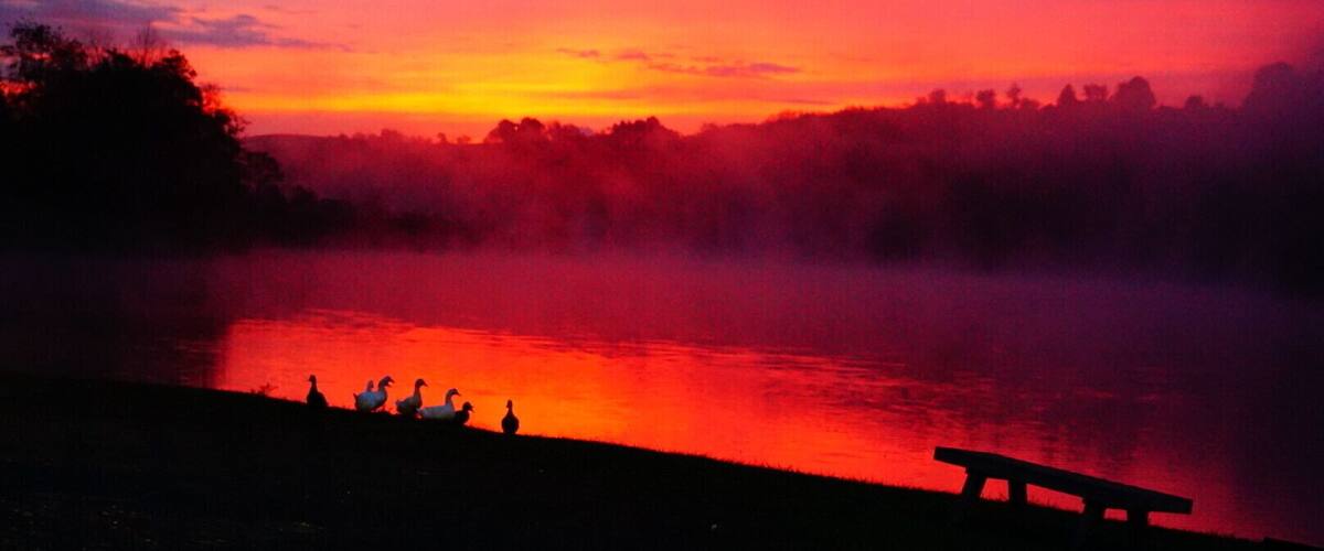 A sunset over a river with a bench and ducks on the shore.