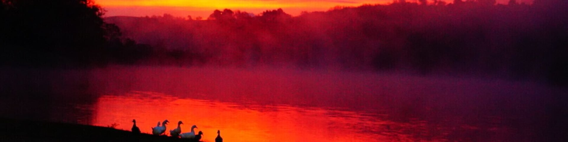 A sunset over a river with a bench and ducks on the shore.