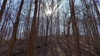 Desonier State Nature Preserve in Coolville has a 2 mile loop trail through forests of mature Beech and Oaks in deep ravines and on steep hillsides. The trail criss-crosses Jordan Run, a tributary of the Hocking River.
#FindingtheUniverse