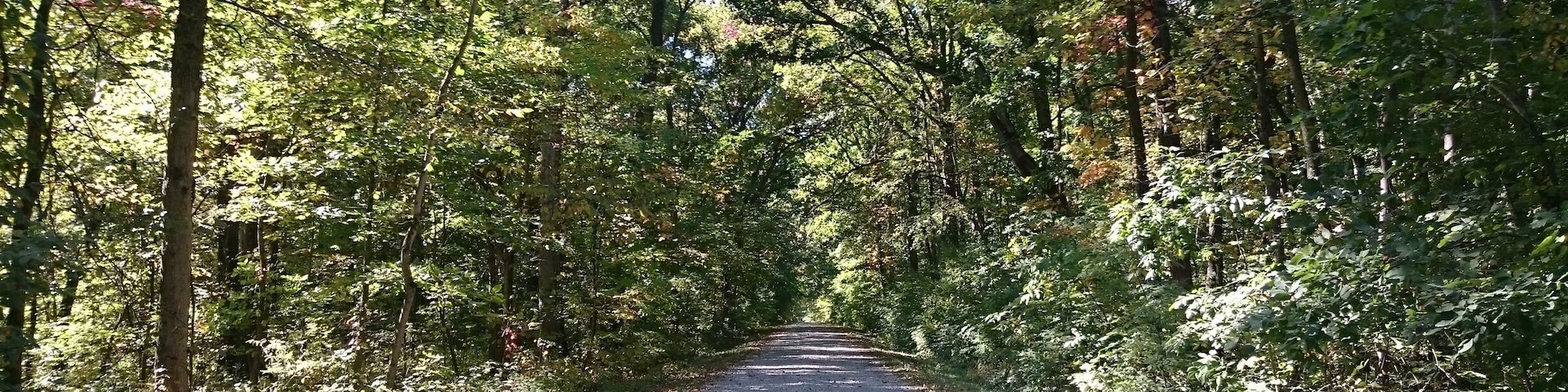Myers Woods is a tiny pocket park in a heavily wooded area down a gravel road adjacent to Killdeer Plains Wildlife Area.
This hidden gem has a short loop trail and plenty of fungi to photograph.