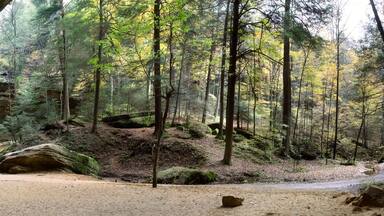 Ash Cave