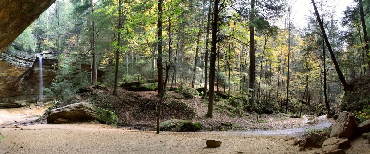 A forest with a waterfall, a sandy path, and a large rock formation.