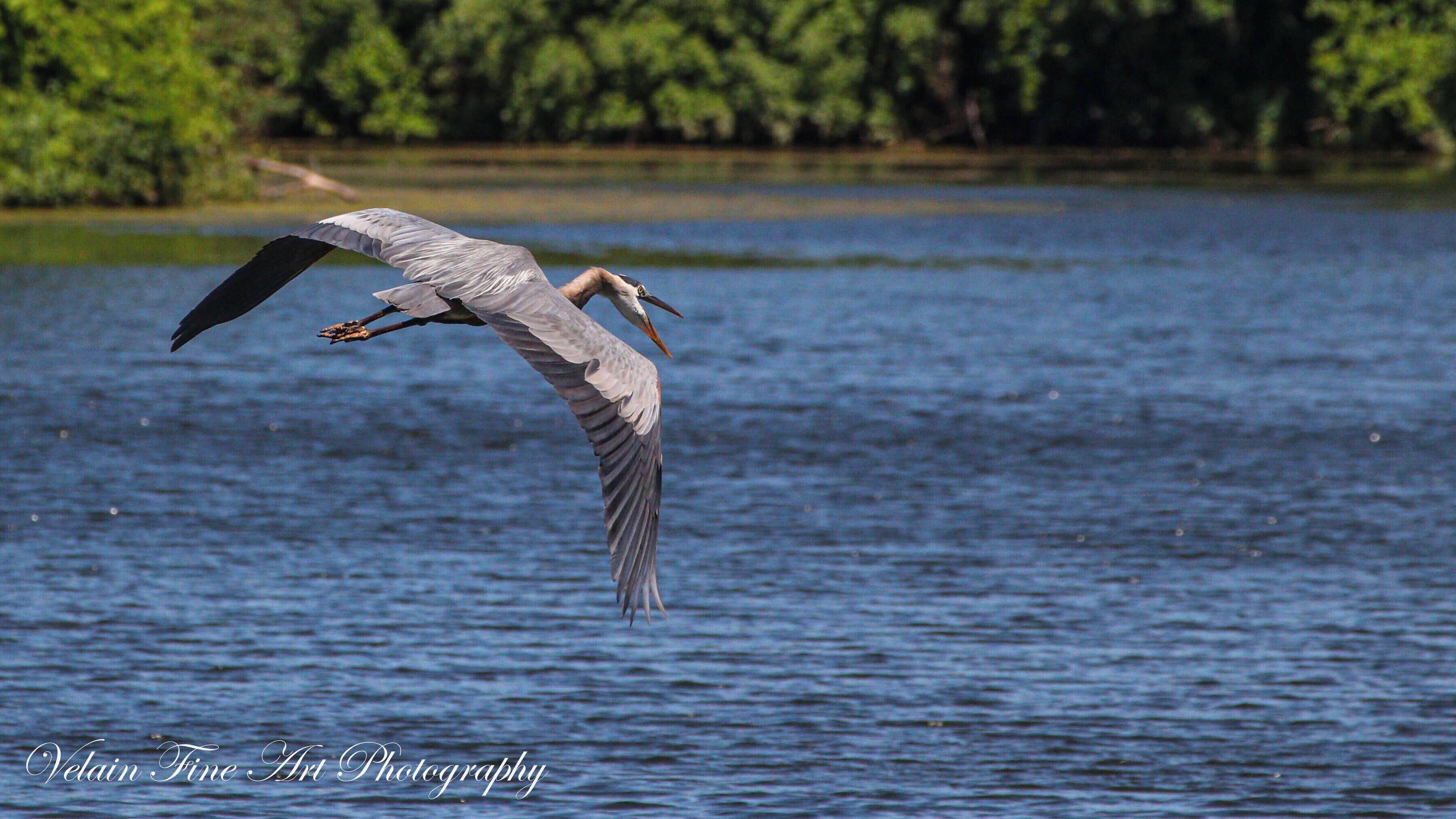 Not bad for a midday shot. 