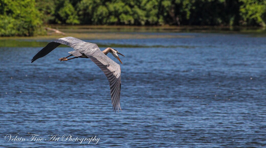 Not bad for a midday shot.