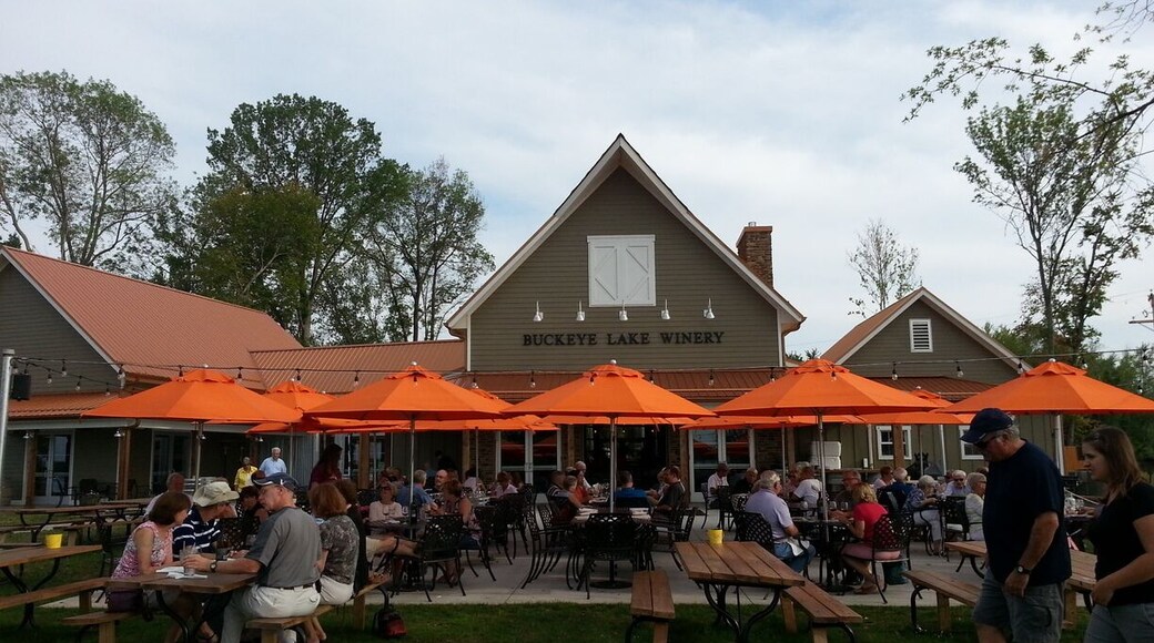 Buckeye Lake Winery is a great place to relax with some wine and nosh on some pretty good food. The wines are quite good. Beautiful spot. Bring your friends.