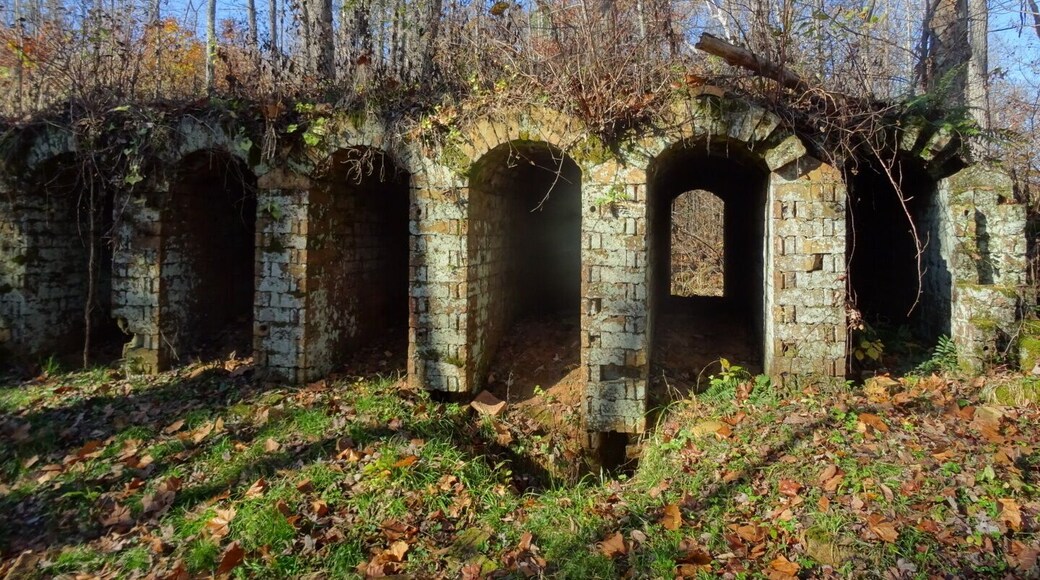 The ruins of the Belgium Coke Ovens inside Vinton Furnace Experimental Forest. The ovens were built to produce coke from coal to use in the iron furnace.
These structures at the Vinton site are thought to be the only existing ones in the world.
The original structure built in the 1850's included twenty-four ovens: seventeen of which remain standing.
Each oven is about 3 feet wide, 6 feet tall and 25 feet deep.