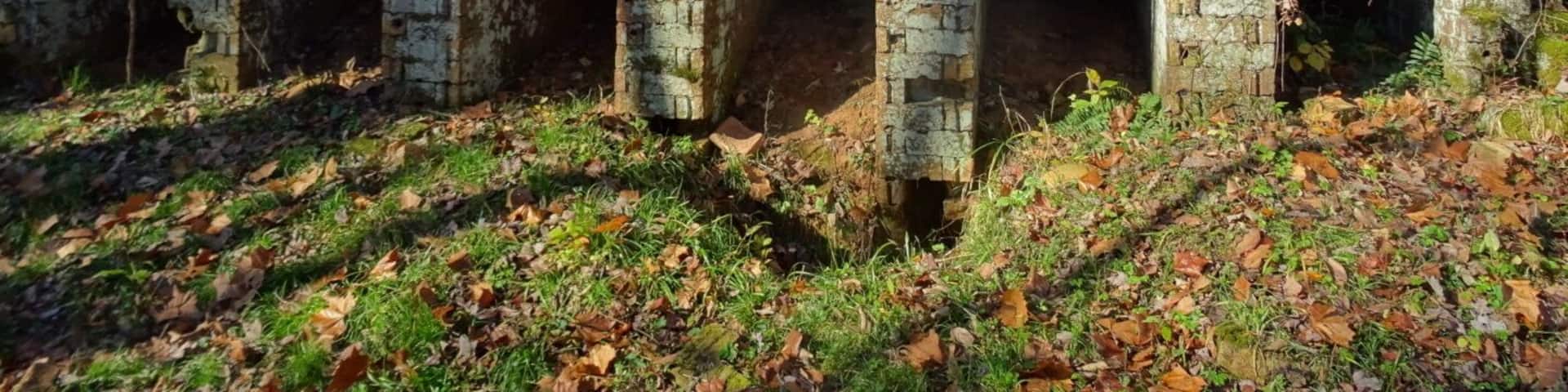 The ruins of the Belgium Coke Ovens inside Vinton Furnace Experimental Forest. The ovens were built to produce coke from coal to use in the iron furnace.
These structures at the Vinton site are thought to be the only existing ones in the world.
The original structure built in the 1850's included twenty-four ovens: seventeen of which remain standing.
Each oven is about 3 feet wide, 6 feet tall and 25 feet deep.