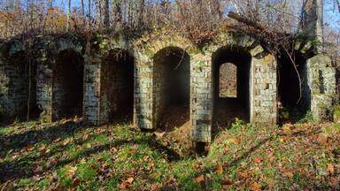The ruins of the Belgium Coke Ovens inside Vinton Furnace Experimental Forest. The ovens were built to produce coke from coal to use in the iron furnace.
These structures at the Vinton site are thought to be the only existing ones in the world.
The original structure built in the 1850's included twenty-four ovens: seventeen of which remain standing.
Each oven is about 3 feet wide, 6 feet tall and 25 feet deep.