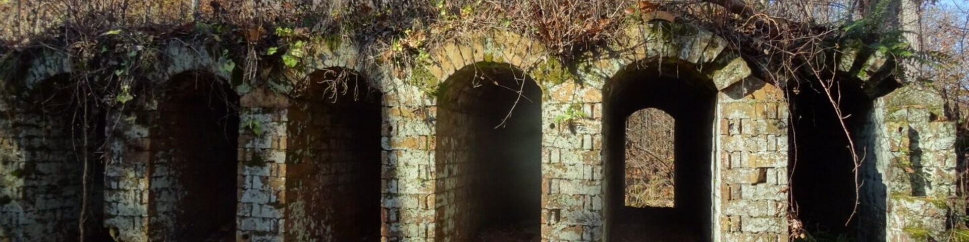 The ruins of the Belgium Coke Ovens inside Vinton Furnace Experimental Forest. The ovens were built to produce coke from coal to use in the iron furnace.
These structures at the Vinton site are thought to be the only existing ones in the world.
The original structure built in the 1850's included twenty-four ovens: seventeen of which remain standing.
Each oven is about 3 feet wide, 6 feet tall and 25 feet deep.