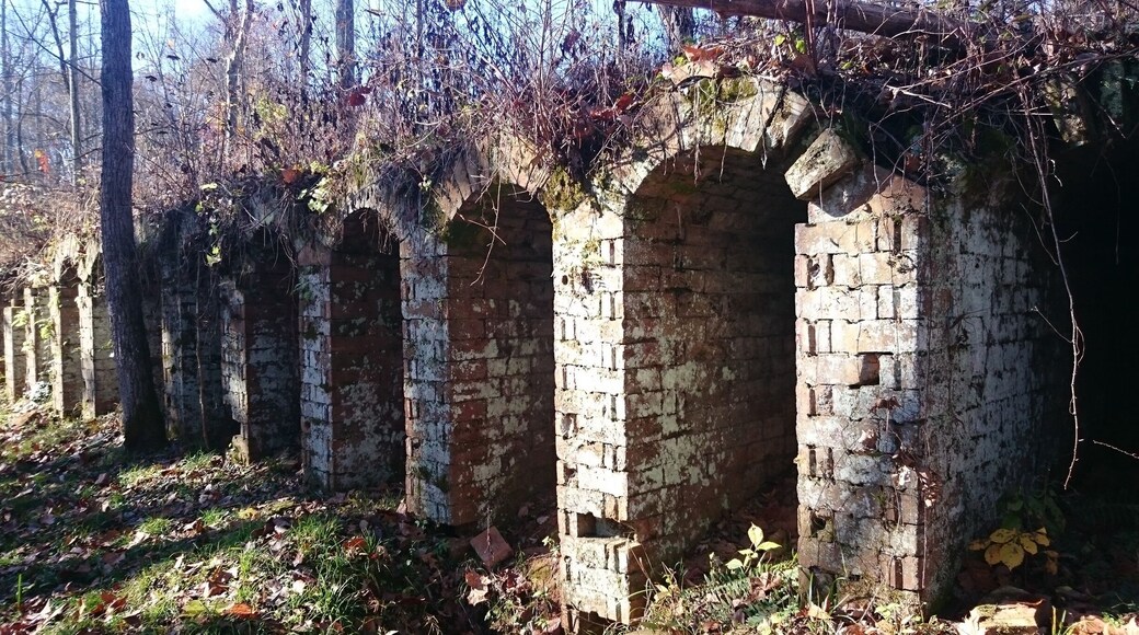 The ruins of the Belgium Coke Ovens inside Vinton Furnace Experimental Forest. The ovens were built to produce coke from coal to use in the iron furnace.
These structures at the Vinton site are thought to be the only existing ones in the world.
The original structure built in the 1850's included twenty-four ovens: seventeen of which remain standing.
Each oven is about 3 feet wide, 6 feet tall and 25 feet deep.