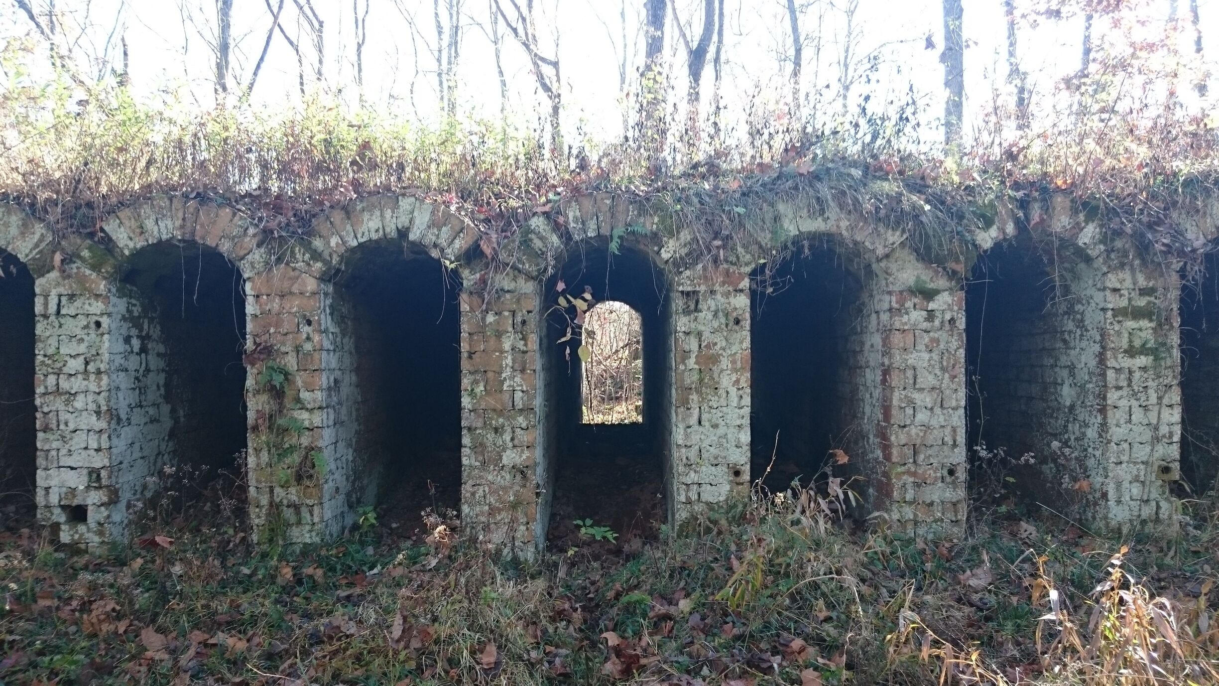 The ruins of the Belgium Coke Ovens inside Vinton Furnace Experimental Forest. The ovens were built to produce coke from coal to use in the iron furnace.

These structures at the Vinton site are thought to be the only existing ones in the world. 

The original structure built in the 1850's included twenty-four ovens: seventeen of which remain standing. 

Each oven is about 3 feet wide, 6 feet tall and 25 feet deep. 