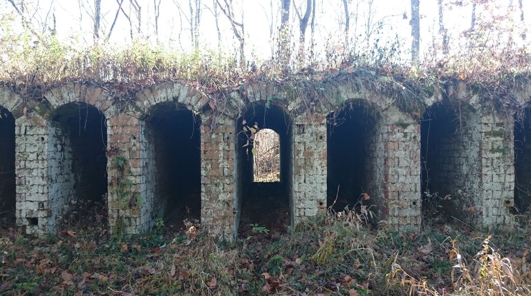 The ruins of the Belgium Coke Ovens inside Vinton Furnace Experimental Forest. The ovens were built to produce coke from coal to use in the iron furnace.
These structures at the Vinton site are thought to be the only existing ones in the world.
The original structure built in the 1850's included twenty-four ovens: seventeen of which remain standing.
Each oven is about 3 feet wide, 6 feet tall and 25 feet deep.