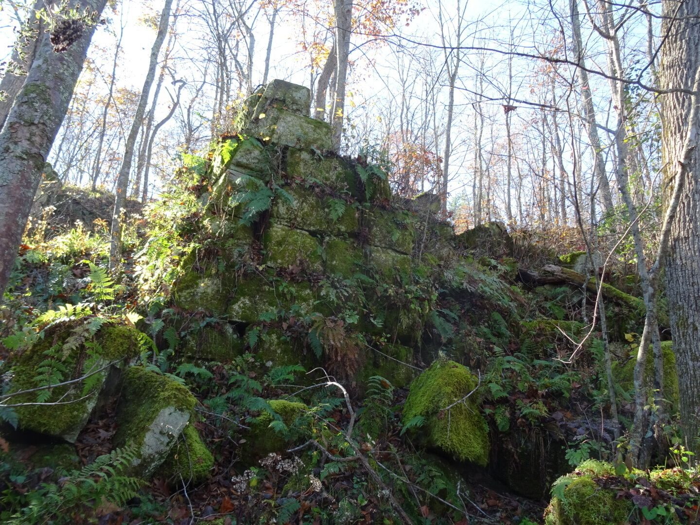All that remains of the Vinton Furnace, a coal furnace used to used to smelt iron in the late 1800's.

The Vinton Furnace State Experimental Forest is a 15,849 acre state forest in Vinton County, Ohio. 