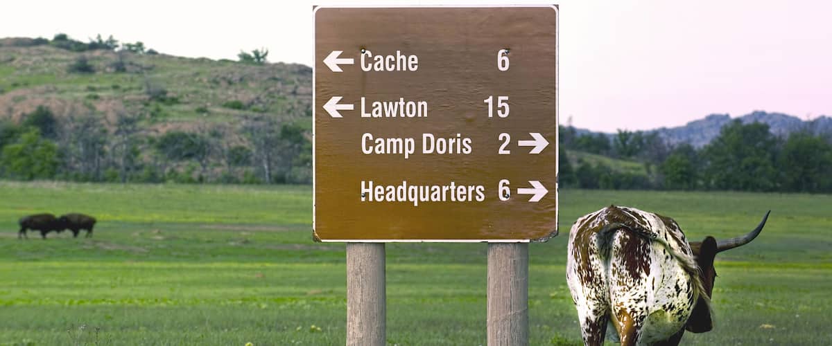 A directional sign in a grassy field with a cow grazing nearby.