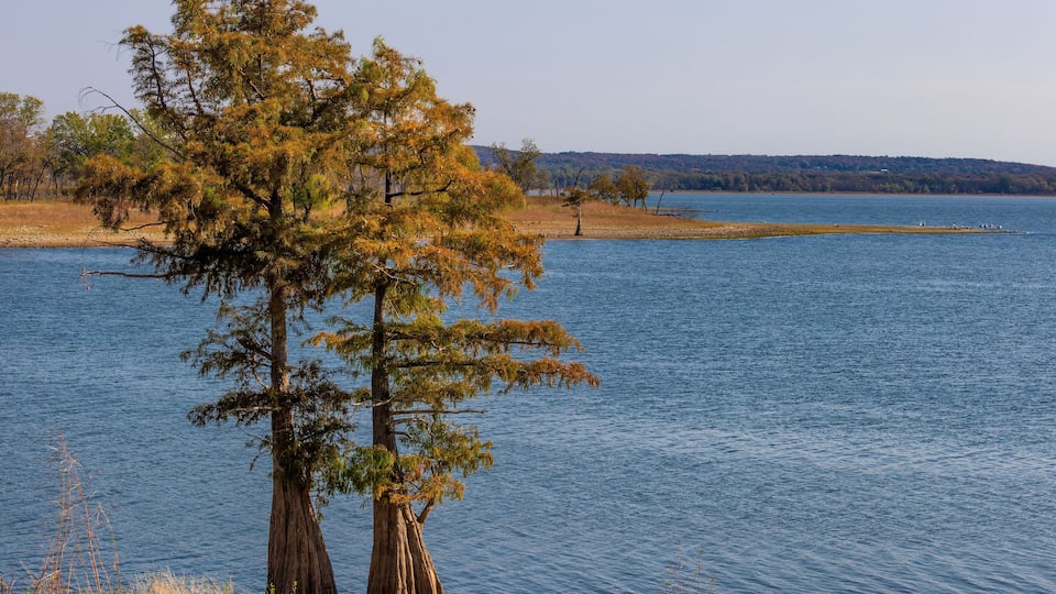A calm lake with two prominent trees in the foreground and a distant shoreline.