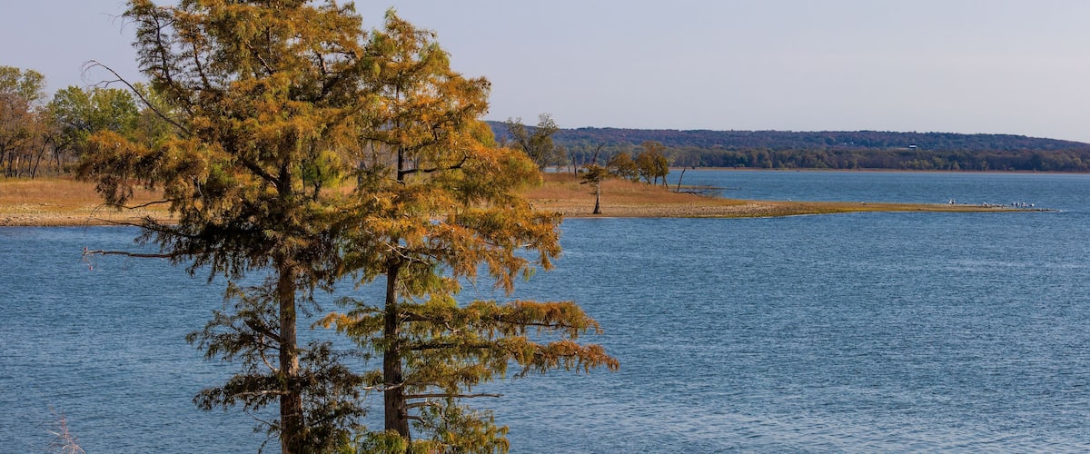 A calm lake with two prominent trees in the foreground and a distant shoreline.