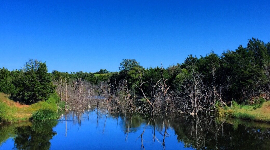 On a calm day makes a great reflecting pond.