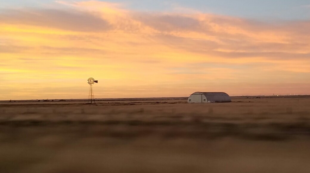 I have recently posted our travel diary from the first 4 days of our #roadtrip to the Southwest US. #travel #petfriendly #hotels #restaurant