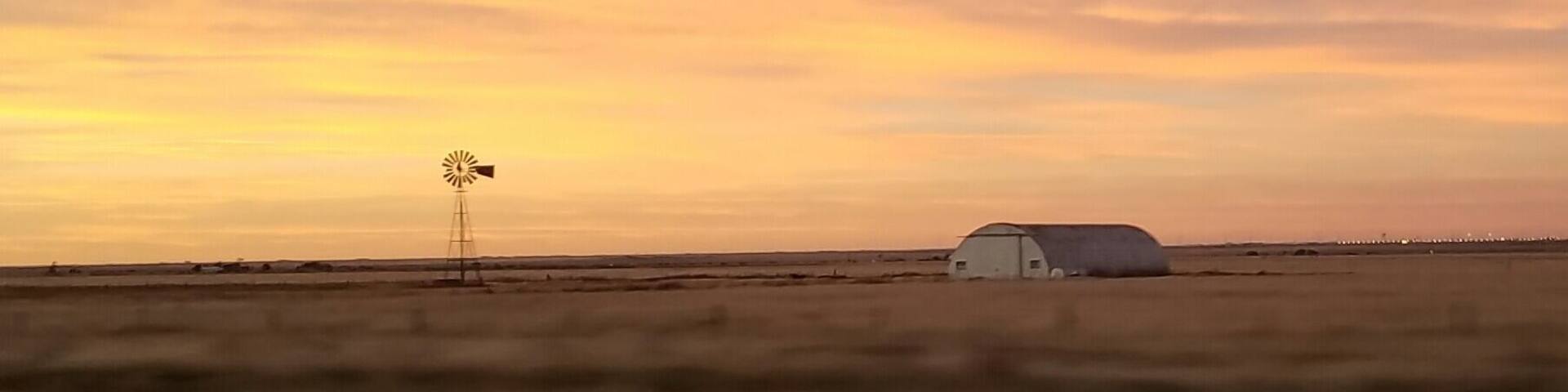 I have recently posted our travel diary from the first 4 days of our #roadtrip to the Southwest US. #travel #petfriendly #hotels #restaurant