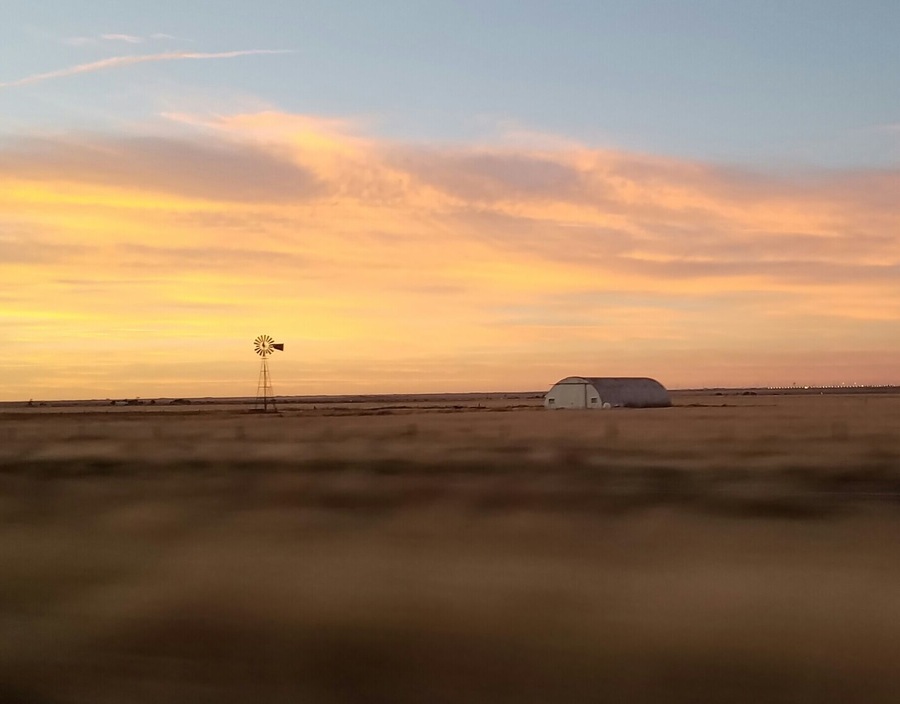 I have recently posted our travel diary from the first 4 days of our #roadtrip to the Southwest US. #travel #petfriendly #hotels #restaurant