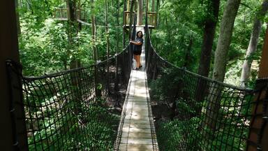 The tree canopy walk is cool. If you don't like high places might not be for you and the bridges do bounce when you walk across to the next platform. It is beautiful with the river under you.