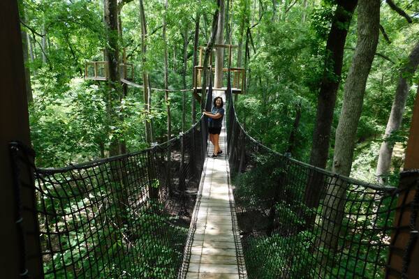 The tree canopy walk is cool. If you don't like high places might not be for you and the bridges do bounce when you walk across to the next platform. It is beautiful with the river under you.