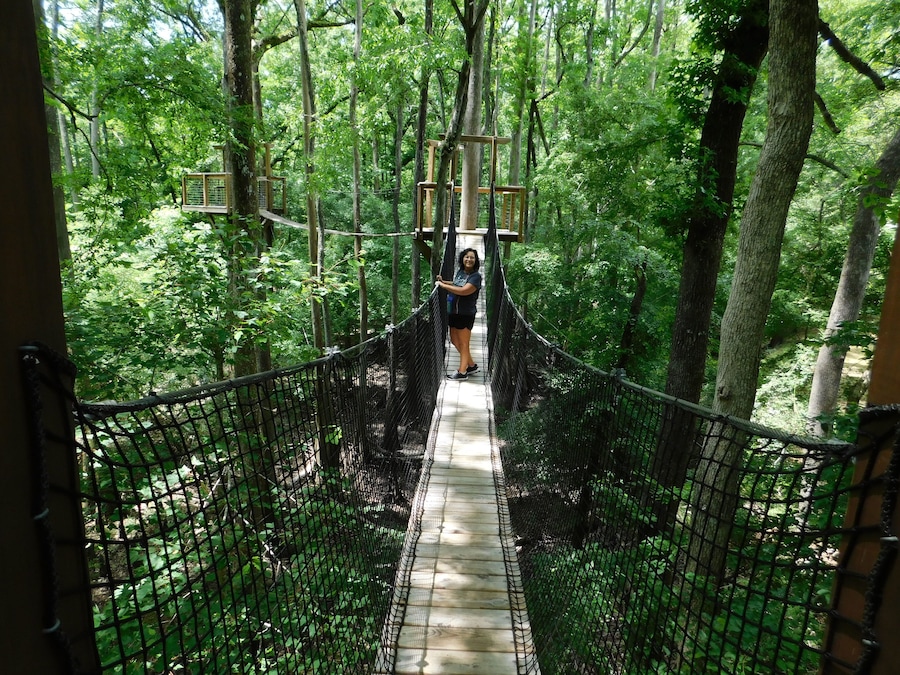 The tree canopy walk is cool.  If you don't like high places might not be for you and the bridges do bounce when you walk across to the next platform. It is beautiful with the river under you.