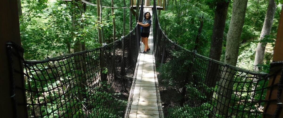 A person walking on a rope bridge surrounded by dense forest.