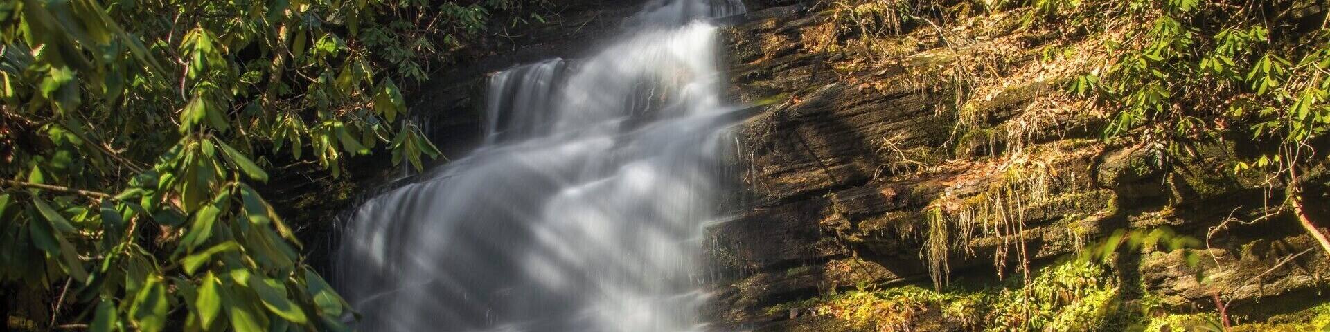 A very beautiful series of several waterfalls and cascades along a very short section of Bee Cove Creek. Very difficult to reach though. For a video guide of the hike to Bee Cove Falls, please visit: https://www.hdcarolina.com/episode/bee-cove-falls
#Waterfall