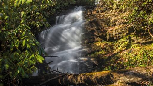 A very beautiful series of several waterfalls and cascades along a very short section of Bee Cove Creek. Very difficult to reach though. For a video guide of the hike to Bee Cove Falls, please visit: https://www.hdcarolina.com/episode/bee-cove-falls
#Waterfall