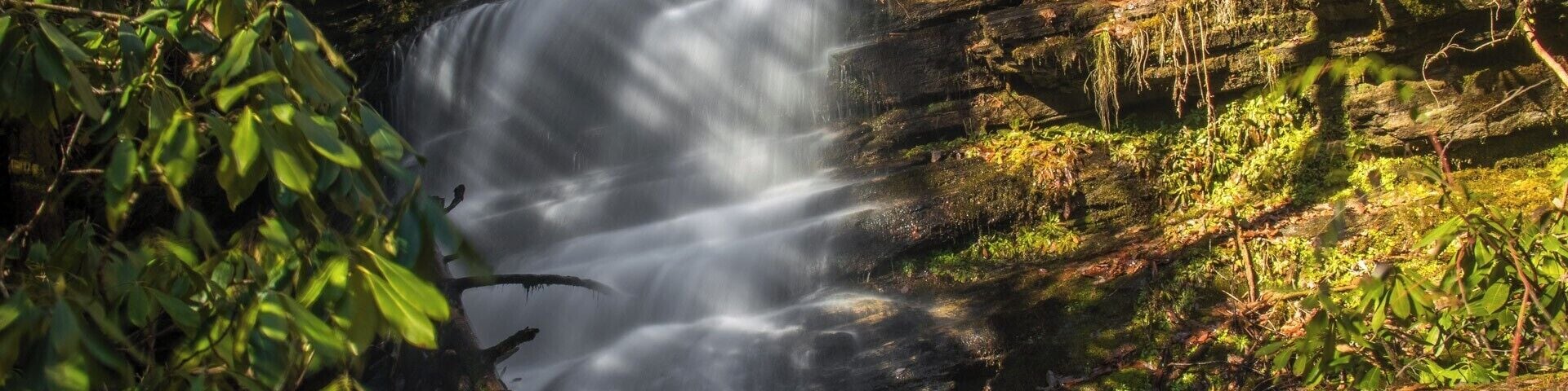 A very beautiful series of several waterfalls and cascades along a very short section of Bee Cove Creek. Very difficult to reach though. For a video guide of the hike to Bee Cove Falls, please visit: https://www.hdcarolina.com/episode/bee-cove-falls
#Waterfall