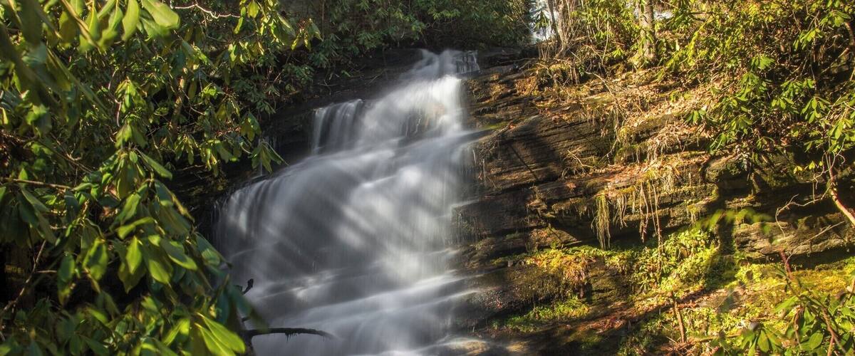 A waterfall cascading over moss-covered rocks surrounded by dense foliage.
