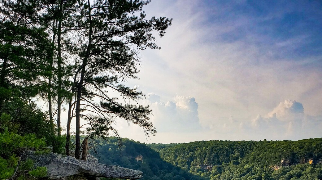 Beautiful trail, only 2 miles long, out and back, lots of photo opportunities, with a waterfall and and an amazing overlook.