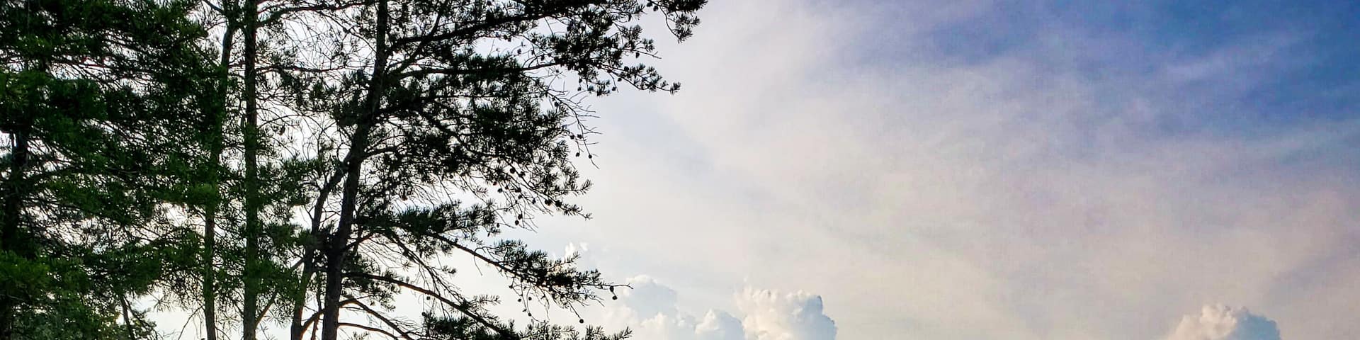 Beautiful trail, only 2 miles long, out and back, lots of photo opportunities, with a waterfall and and an amazing overlook.
