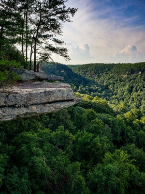 Beautiful trail, only 2 miles long, out and back, lots of photo opportunities, with a waterfall and and an amazing overlook.
