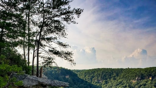 Beautiful trail, only 2 miles long, out and back, lots of photo opportunities, with a waterfall and and an amazing overlook.