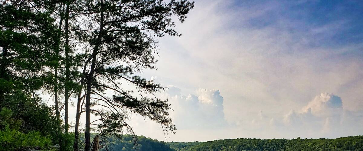 A rocky cliff overlooking a dense forest with a clear sky.