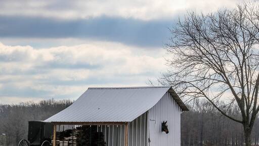 Approx. 60 miles south of Nashville, there is a quiet and mostly unknown Amish community. You will feel as though you have stepped back in time. There is no electricity use, farms are tended by horse and plow, and clothes can be seen hanging on lines to dry.
Most families have handmade signs at the end of their driveway indicating what goods they sell to the public. Don't be shy, simply go to the door and kindly ask about their wares. The furniture makers have the most beautiful and sturdy pieces you will ever see.
Be cautious of the horse and buggies traveling the highways with you.
Do not take pictures of the Amish. They are very serious with the belief that a photograph is considered a graven image and it is against their religious belief.
Plan for at least half a day. The roads are confusing and you will enjoy chatting with the families regarding their wares. The women are quite shy but will answer your questions!