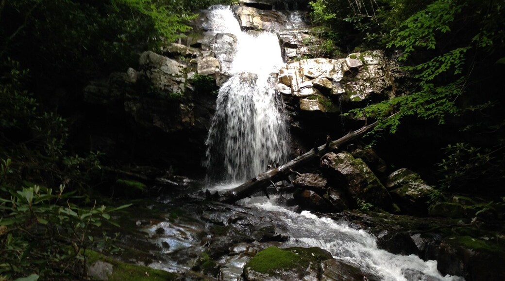 Beautiful and very much isolated. This is one of 5 other waterfalls located in the park. Majority of these falls are located off "ninja" trails. Trails that are not so noticeable at first or second glance.