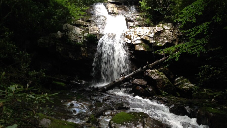 Beautiful and very much isolated. This is one of 5 other waterfalls located in the park. Majority of these falls are located off "ninja" trails. Trails that are not so noticeable at first or second glance.