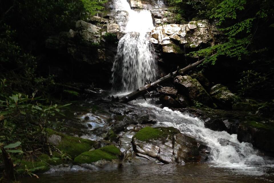 A waterfall in a forested area with moss-covered rocks and a stream flowing through.