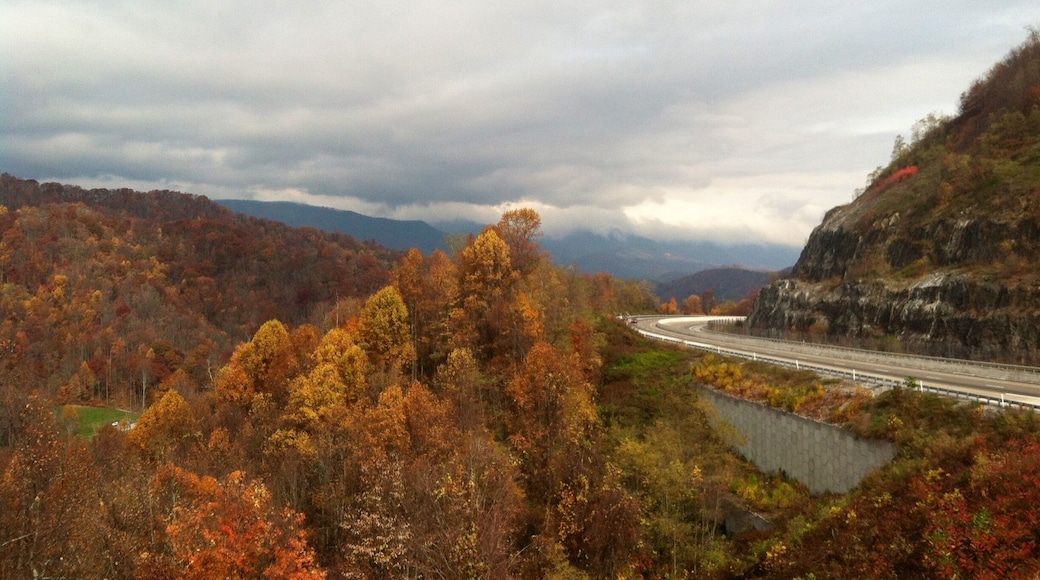 Nice overlook to stop and take in some mountain beauty in the fall! Best time to visit, lots of travelers during this season!