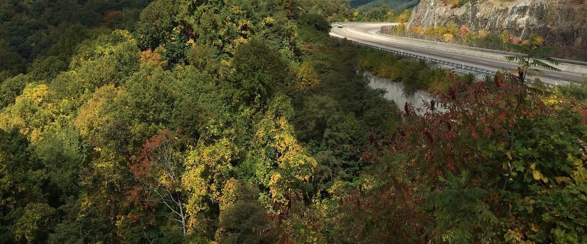 Eine kurvenreiche Straße schlängelt sich durch ein bewaldetes Tal, mit einem Fluss und fernen Bergen unter teils bewölktem Himmel.