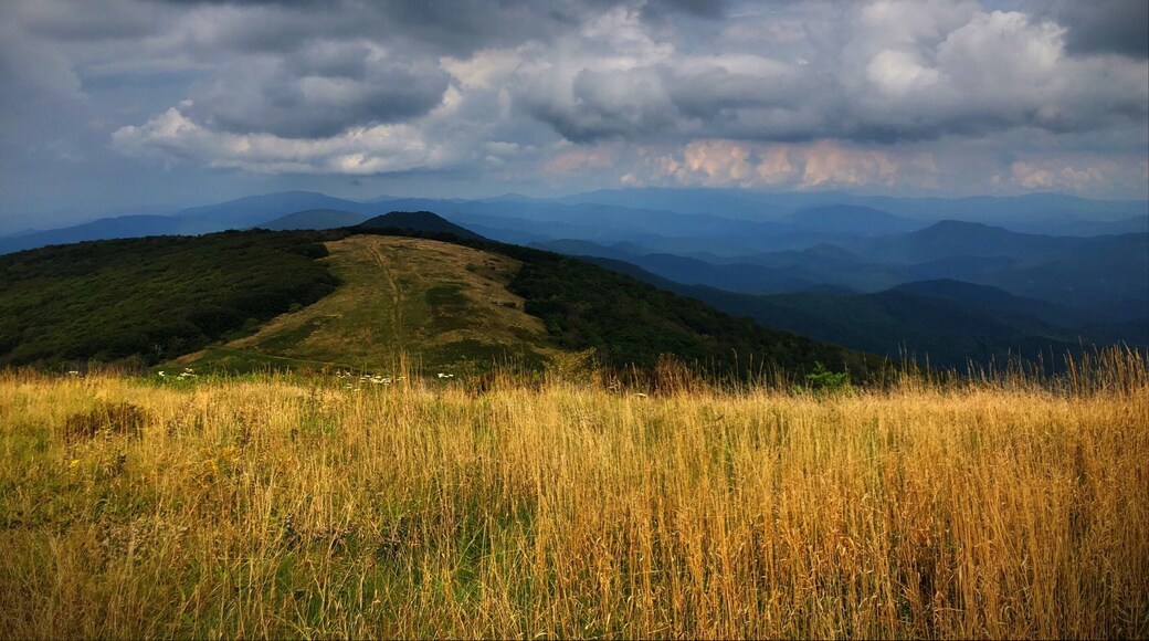 Big Bald on the Appalachian Trail.
