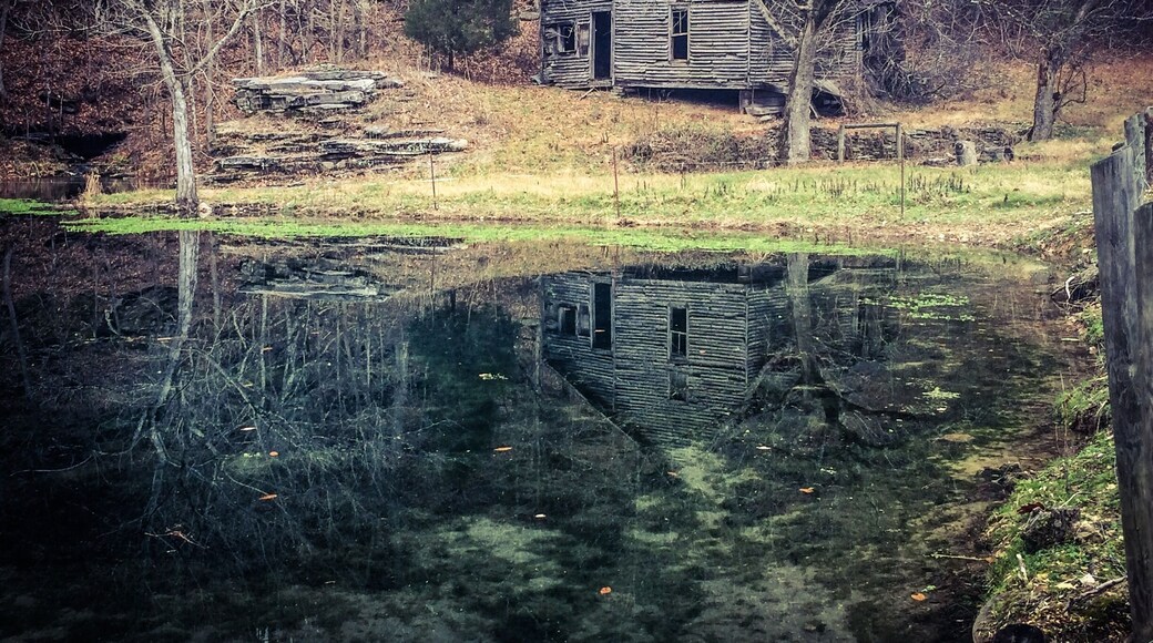Old rustic home left to ruins by a pond. Love the reflection.